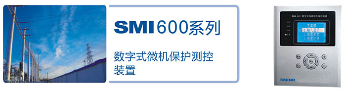 SMI-600ʽ΢װ